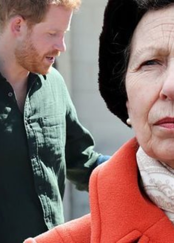 ‎الأميرة آن ستحل محل الأمير هاري في رعاية المؤسسات الخيرية التي تخلي عنها