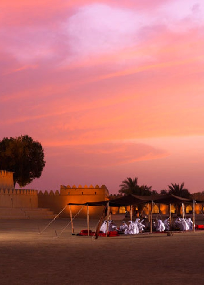  معلومات عن قلعة الجاهلي