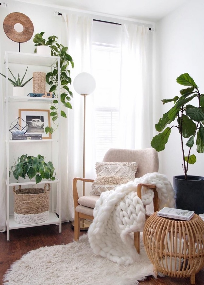 أحواض النباتات تغني ديكورات زوايا المنزل