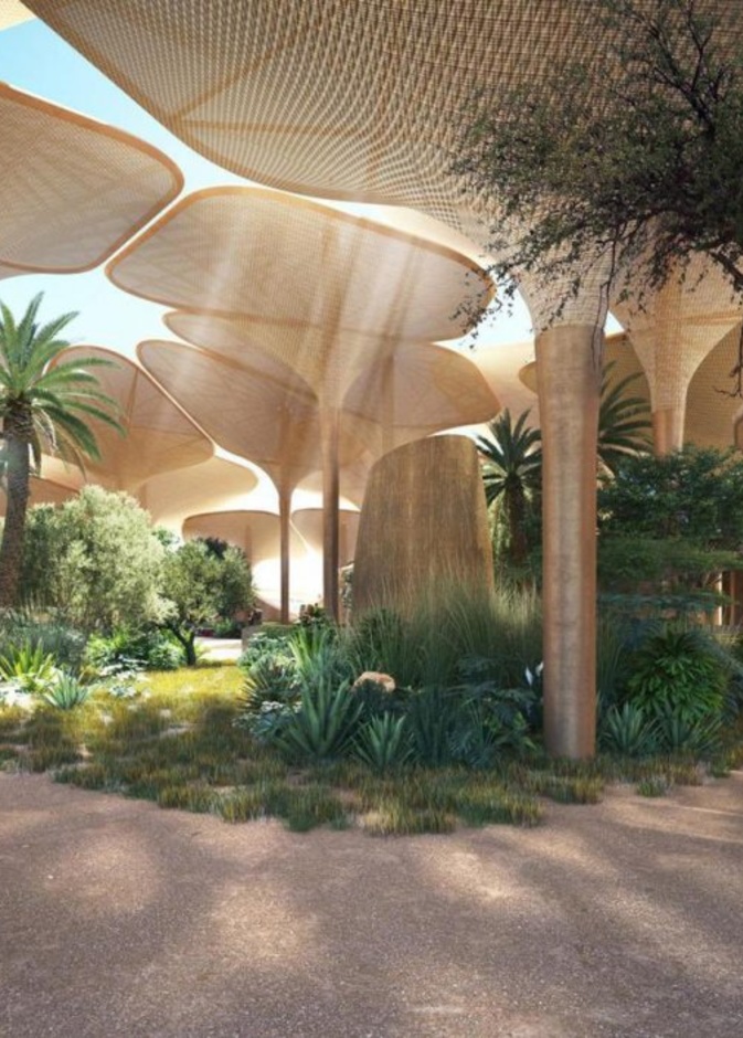 سحر خاص للطبيعة الصحراوية - المصدر مشاريع السعودية 