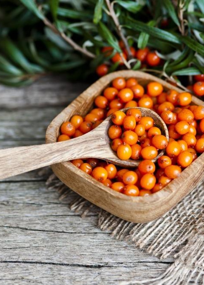 فوائد فاكهة النبق الصحية