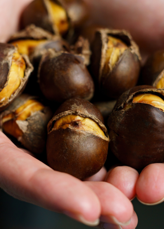  ما هي فوائد الكستناء للحامل