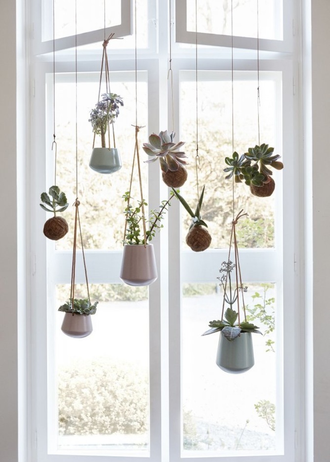 أحواض من النباتات لديكور منزلك