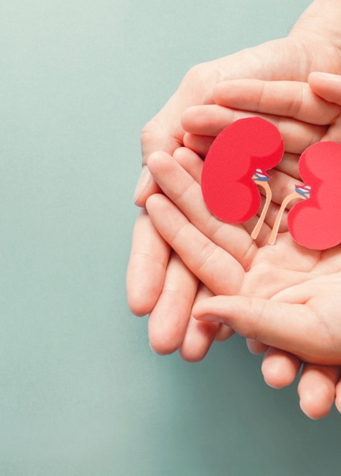 أهمية الوقاية من أمراض الكلى المزمنة في اليوم العالمي للكلى