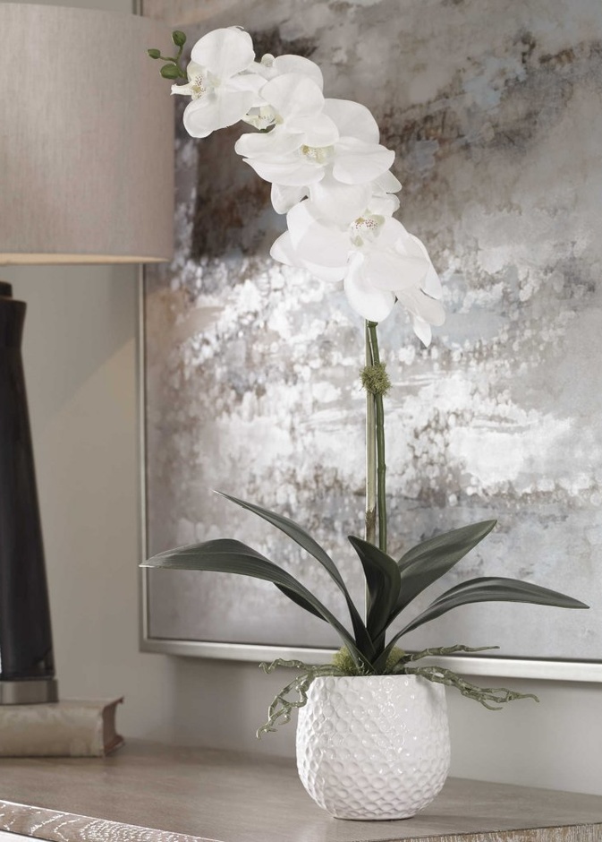 زهرة CAMI ORCHID - UTTERMOST