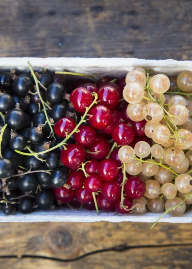 ماهي انواع الكشمش وماهي فوائده الصحية