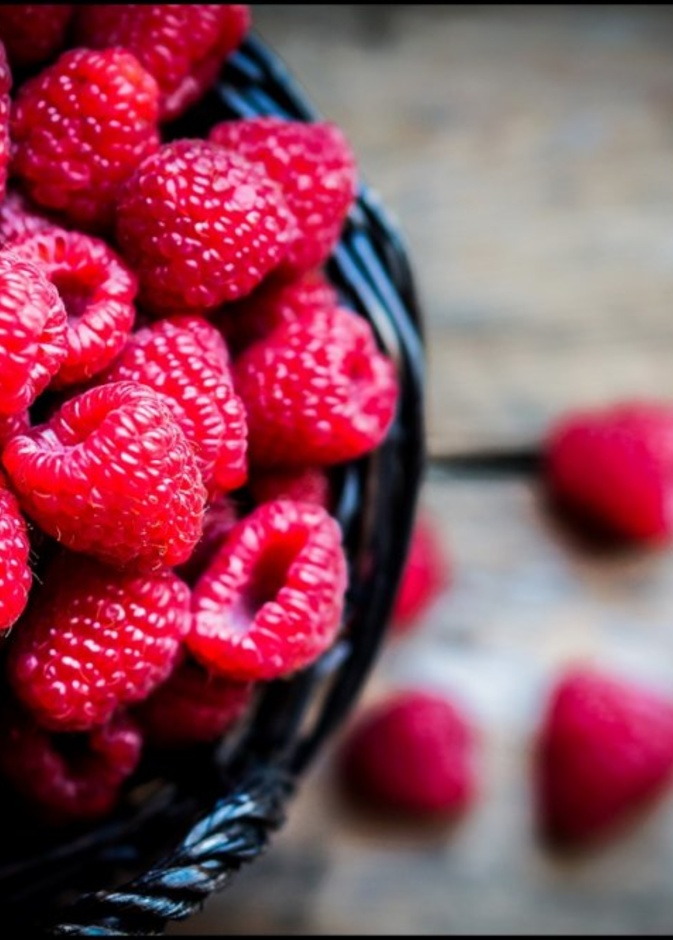  فوائد توت العليق في خفض سكر الدم والوقاية من السرطان