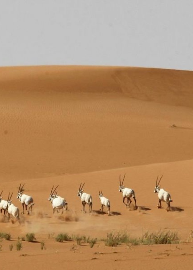 سحر خاص لواحد من أجمل المناطق بالمملكة - وكالة الأنباء السعودية