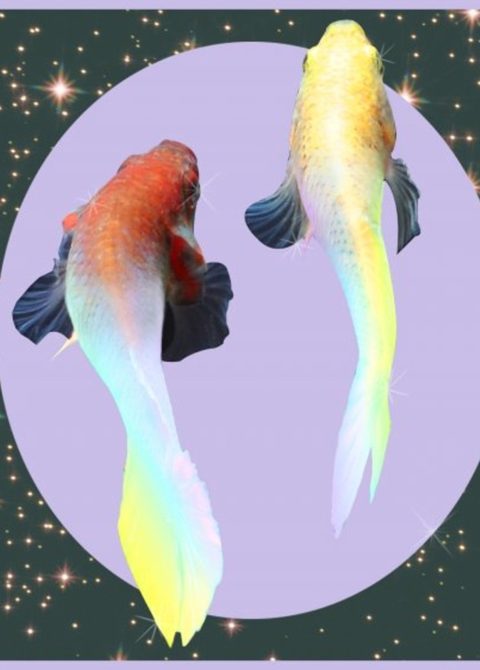 صفات الام من برج الحوت