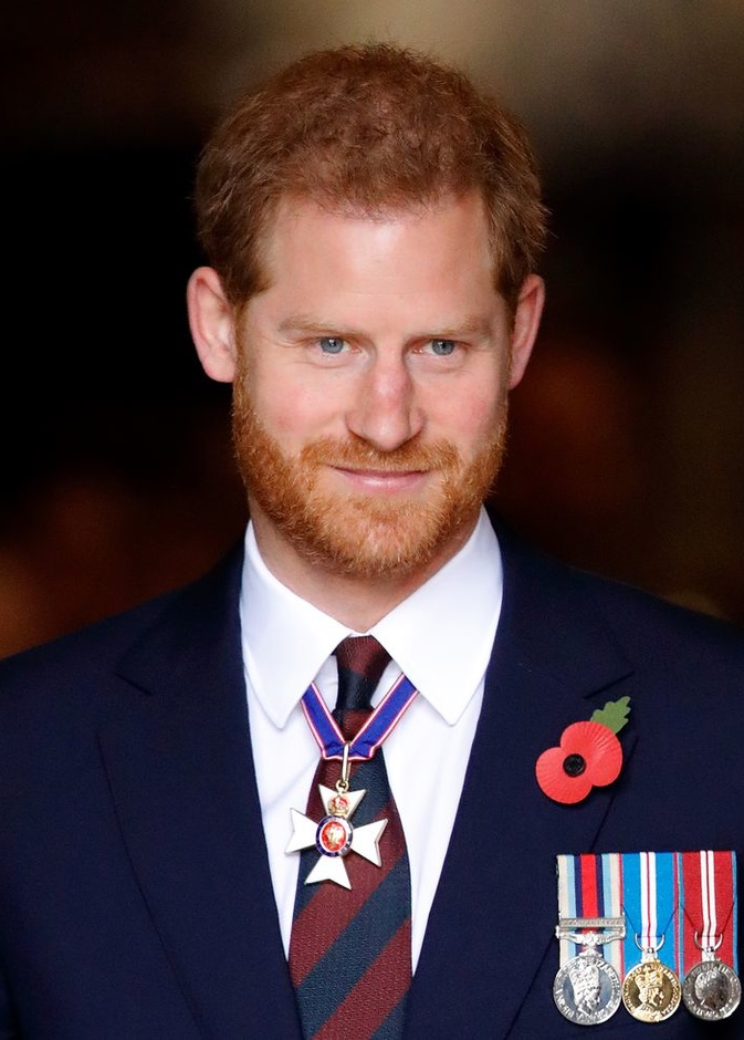 الأمير هاري في رسالة مؤثرة في افتتاحية كتاب للأطفال: أنت لست وحدك 