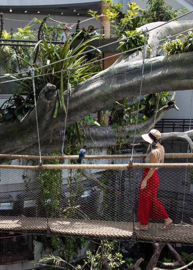  فرص سياحية مميزة في ذا غريت بلانيت في دبي