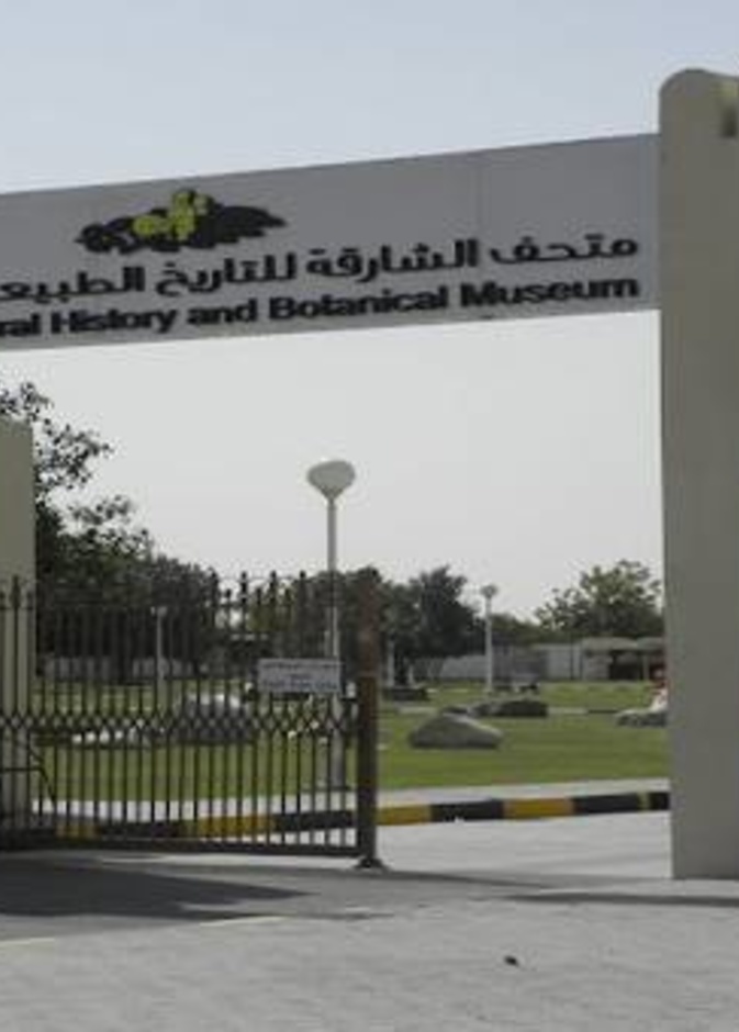 متحف التاريخ الطبيعي بالشارقة