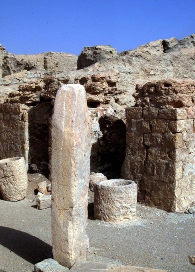 عثر على العديد من المكتشفات في قرية الفاو، بما في ذلك الكتان وصوف الأغنام والعملات