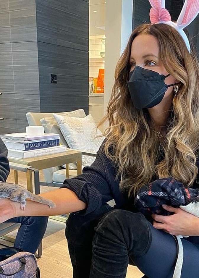 كيت بيكنسيل