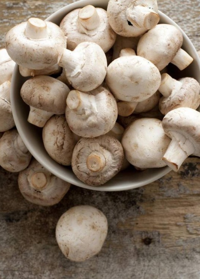 ماهي العلاقة بين تناول الفطر والاكتئاب