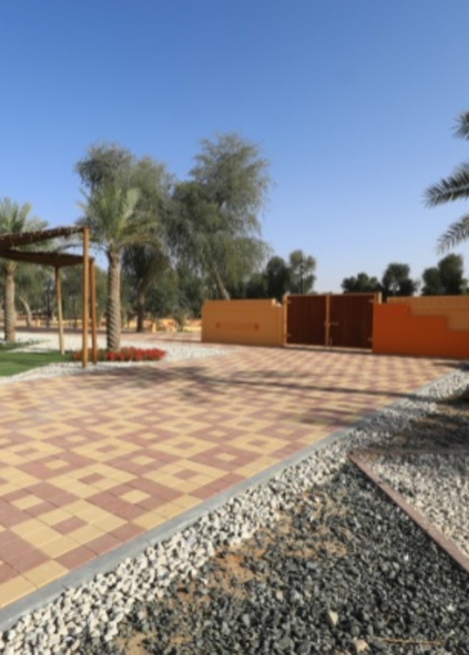 تزخر دولة الإمارات العربية المتحدة بوجود العديد من البقاع الطبيعية الساحرة