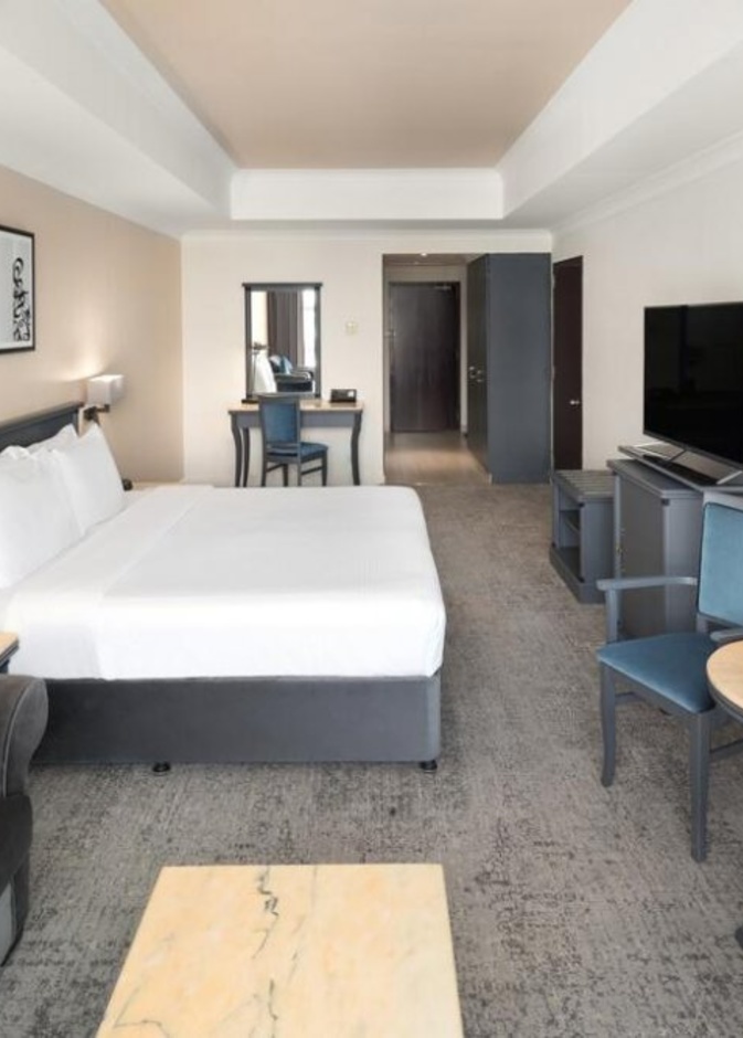  فندق المدينة هيلتون