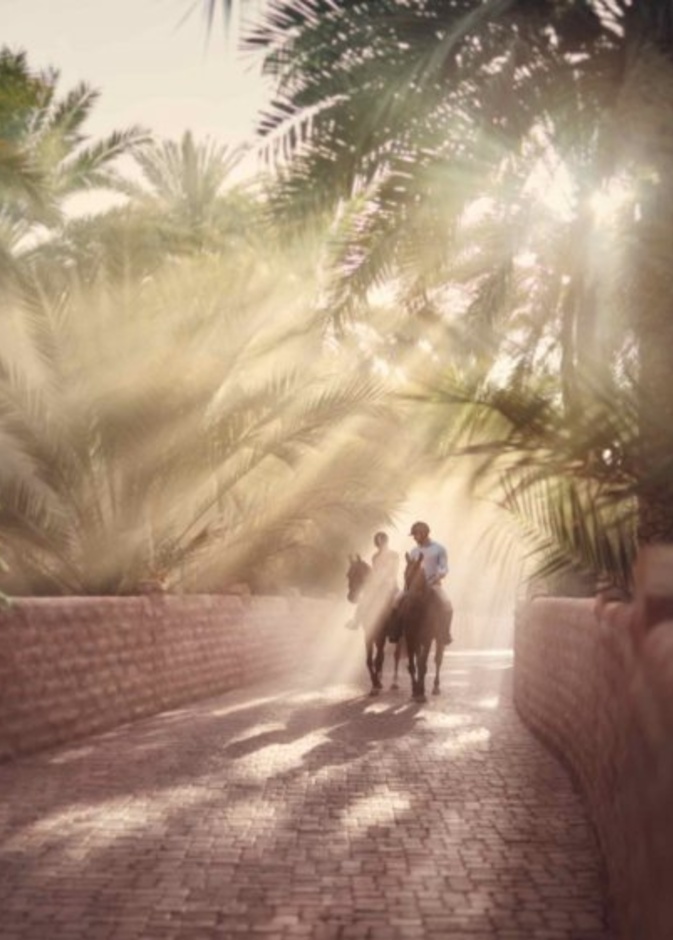  جزيرة بوطينة