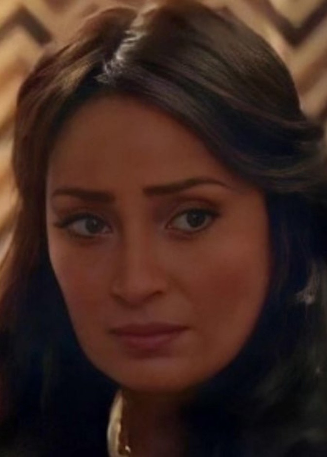 نرمين الفقي 