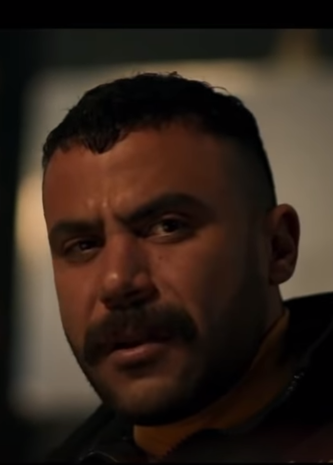 مسلسل النمر