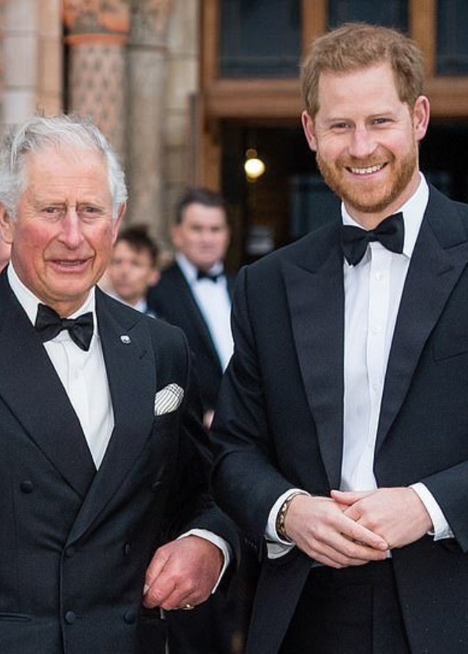 الأمير تشارلز Prince Harry يطلب من الأمير هاري طلاق ميغان ماركل