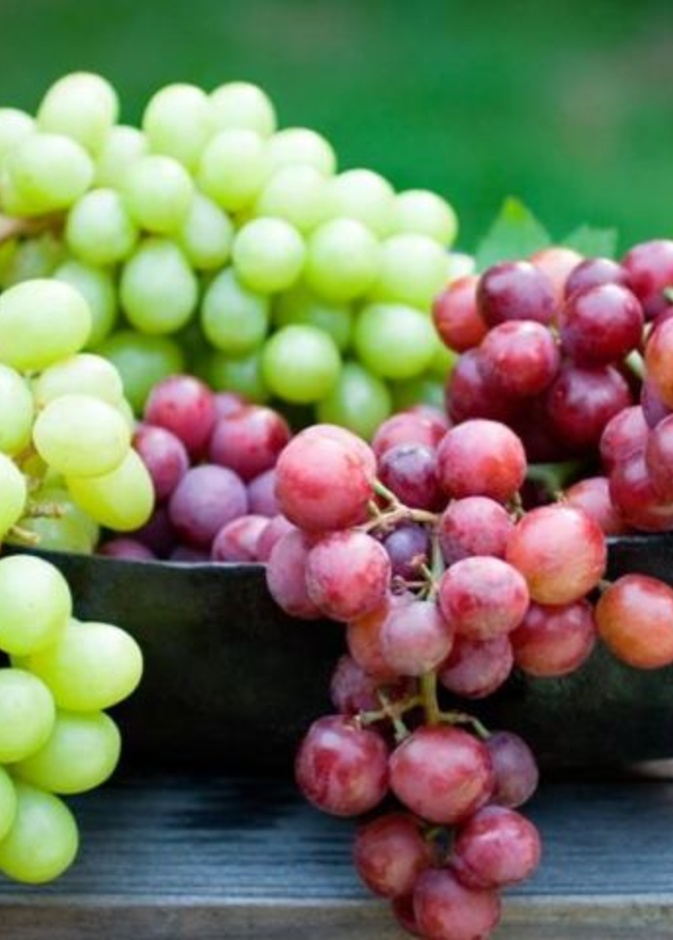  كيف يحمي العنب الجلد من أضرار الشمس