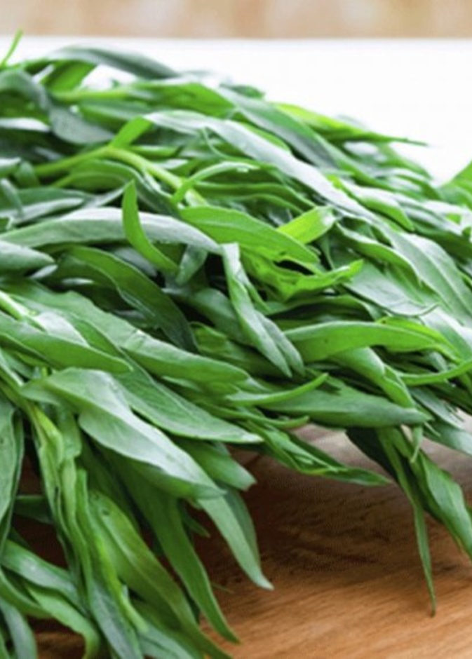 ماهو الطرخون وماهي فوائده واضراره ومحاذير استخدامه