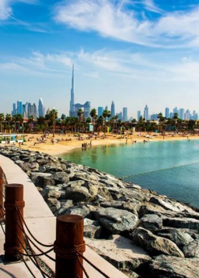  أجواء مبهجة في حديقة دبي للفراشات