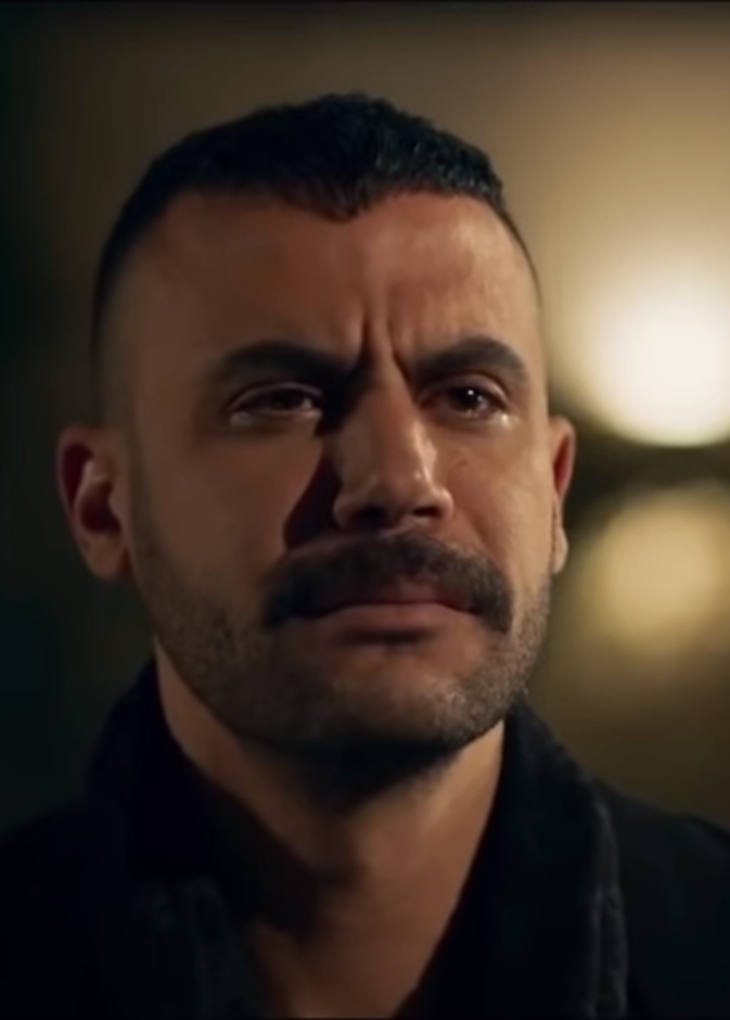 مسلسل النمر