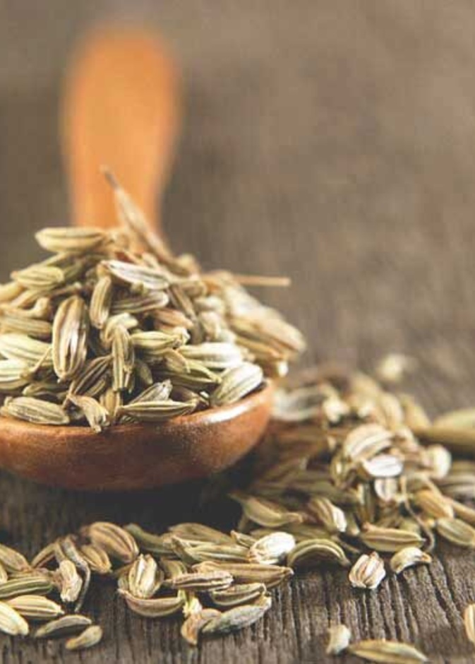  ماهي فوائد الكمون للكبد وماهي الاضرار