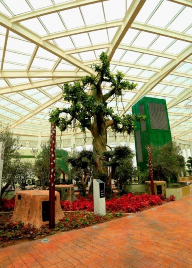 الحديقة القرآنية.. وجهة إماراتية ساحرة لعشاق الاسترخاء والاستجمام