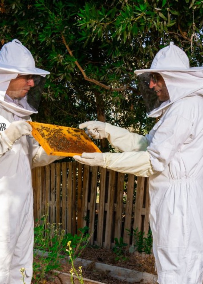 vولز-رويس موتور كارز الشرق الأوسط وأفريقيا مع المركز الميكانيكي للخليج العربي يحتفلان بيوم النحل العالمي عبر إطلاق