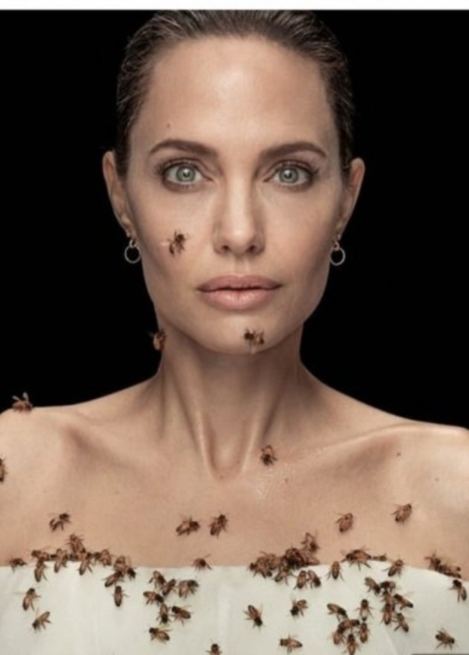 أنجلينا جولي مغطاة بالنحل