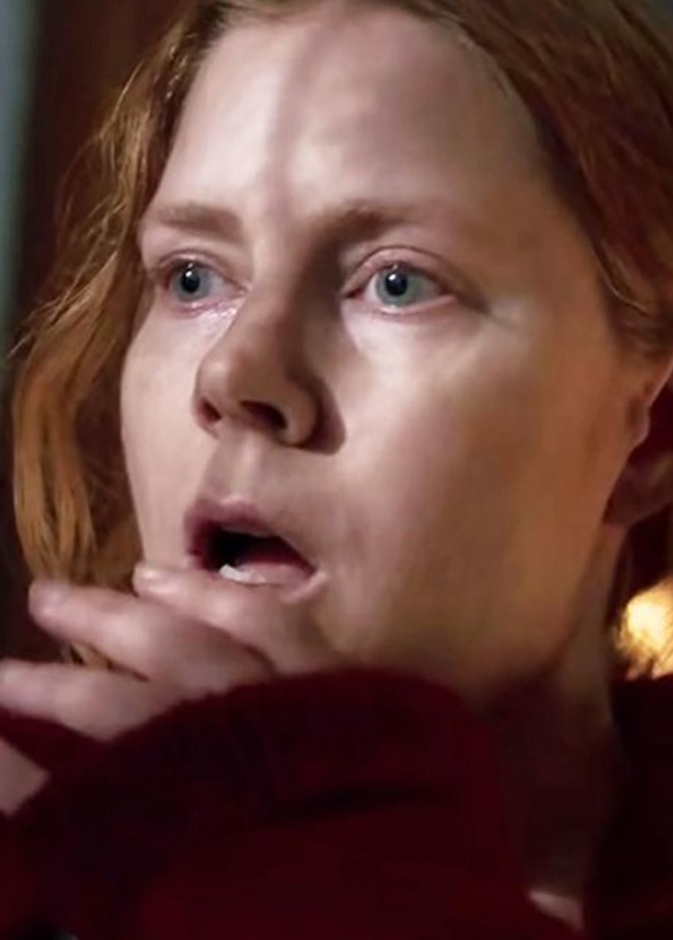 The Woman in the Window فيلم