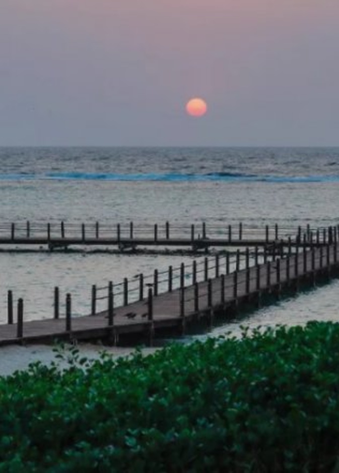 شاطئ يام.. وجهة بحرية ساحرة وفعاليات لجميع أفراد الأسرة بالسعودية - المصدر روح السعودية