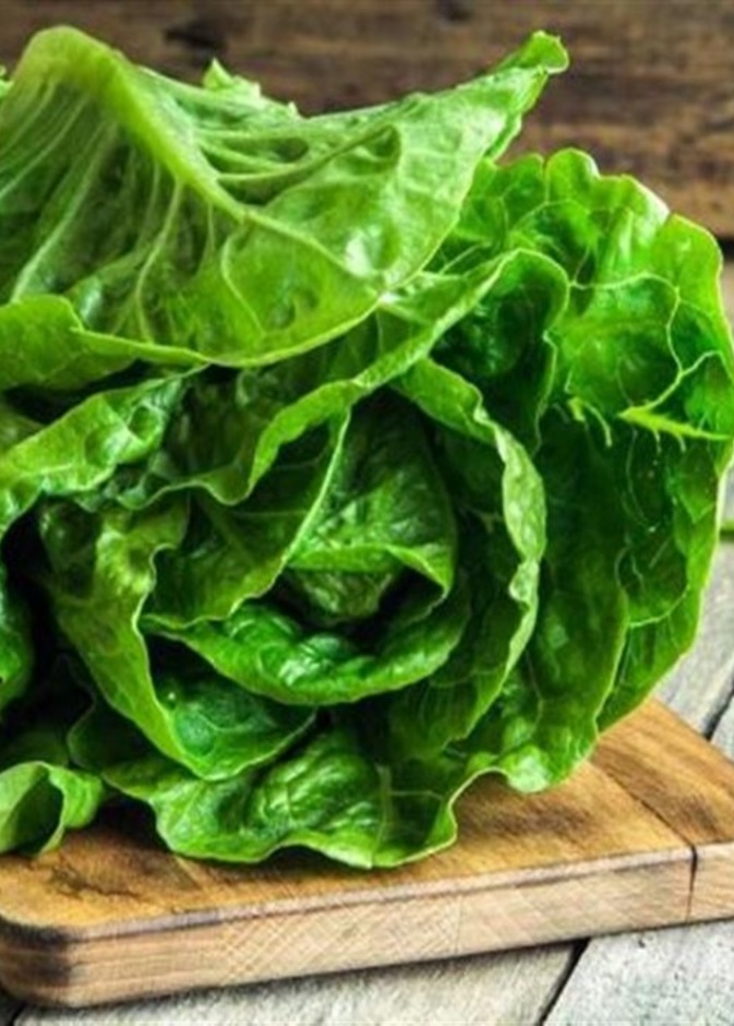 ماهي فوائد الخس لمرضى الكلى