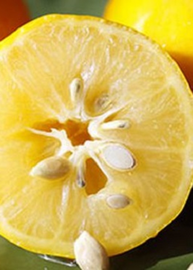  ماهي فوائد بذور الليمون للصحة