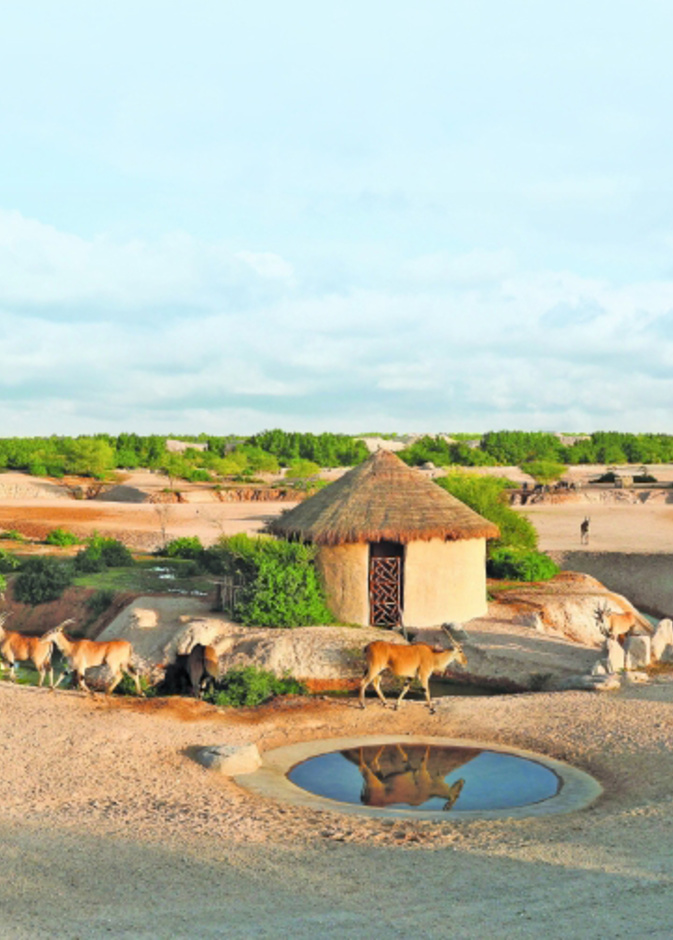 سفاري العين.. وجهة ساحرة لعشاق المغامرة بالإمارات