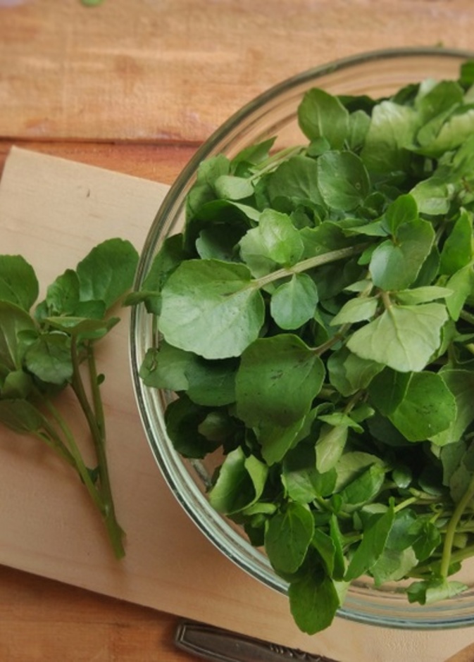  فوائد الجرجير في الوقاية من السرطان والحفاظ على صحة العظام