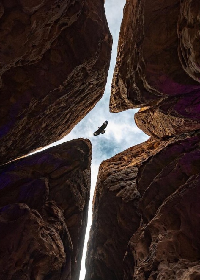 المصور السعودي محمد الجريبي.. موهبة مميزة تعكس إبداع ورونق الصورة 