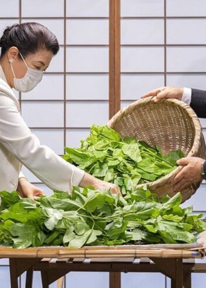 الإمبراطورة ماساكو تشارك في الاحتفال التقليدي بمزرعة دودة القز في القصر الإمبراطوري