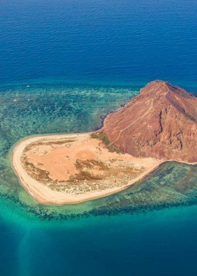 إبداع بين السحاب في أبها