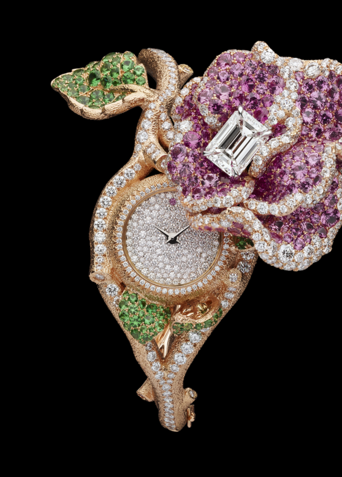  ساعة من ديور Dior