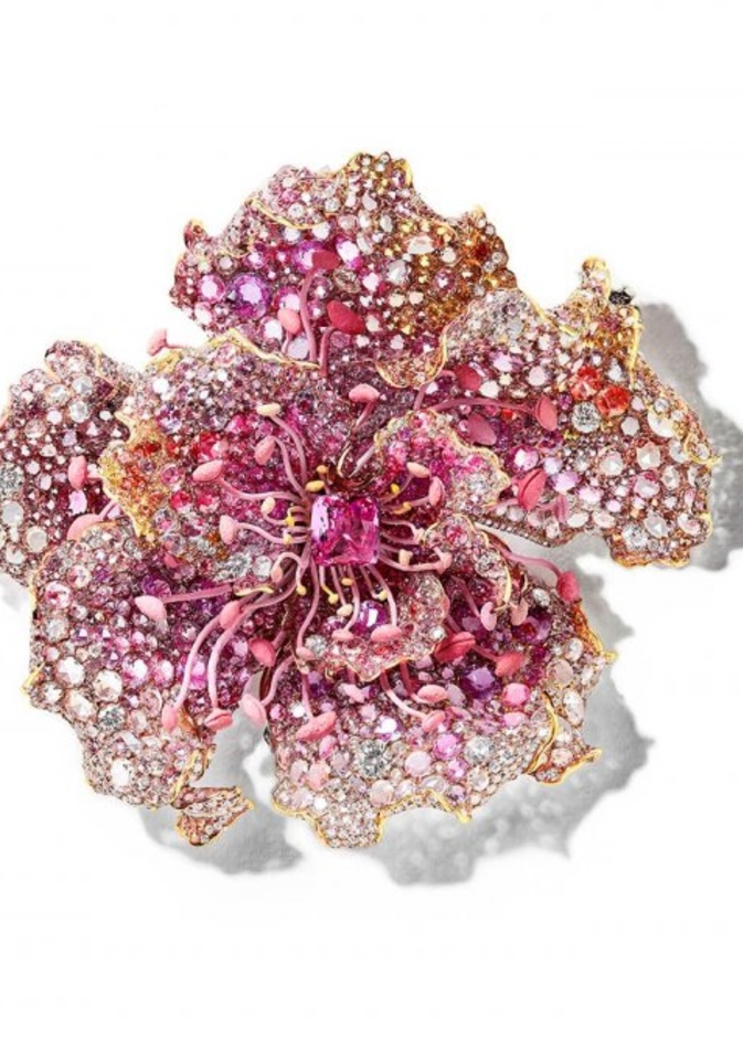 بروش من سيندي تشاو Cindy Chao