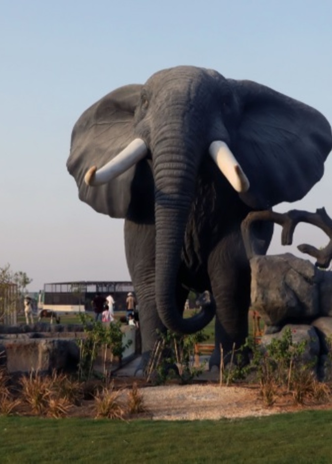 حديقة الحيوانات للحياة البرية.. وجهة مثالية لجميع أفراد الأسرة بأم القيوين