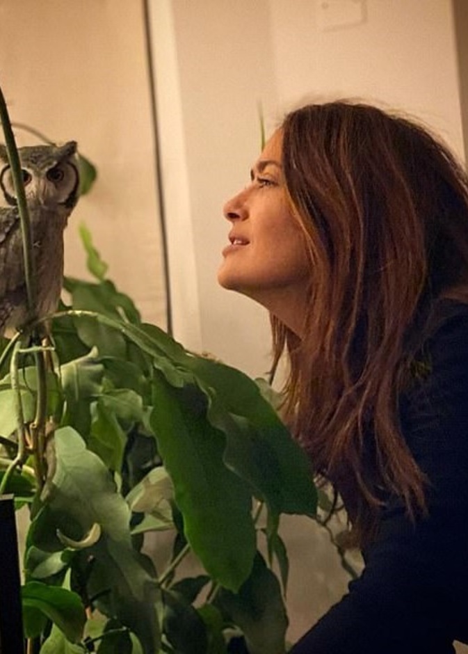 سلمى حايك تكشف يومياتها الطريفة مع "صديقتها" البومة