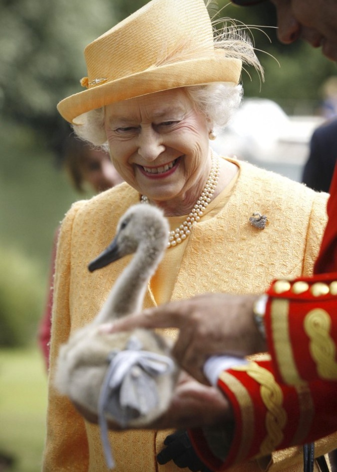 بين غريبة وأخرى أليفة.. ما هي الحيوانات التي تمتلكها ملكة بريطانيا؟