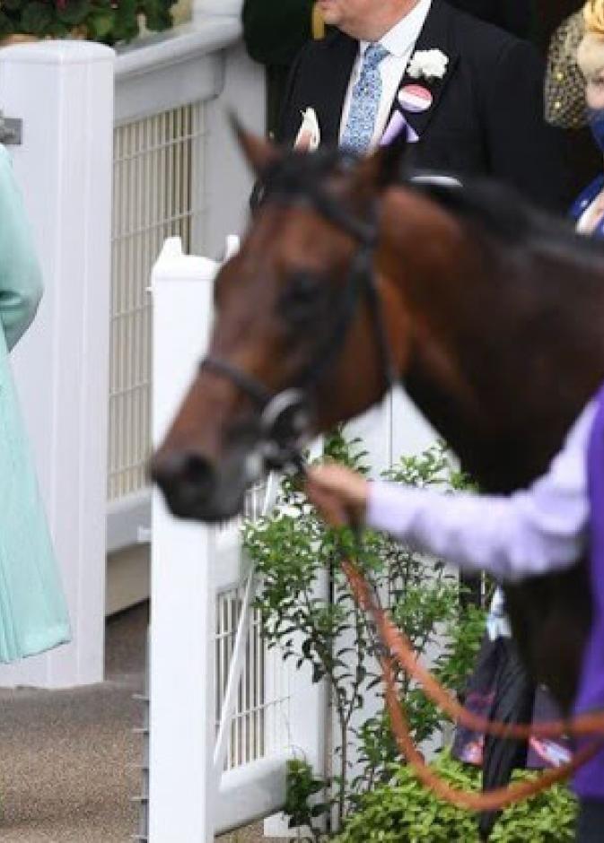 الملكة إليزابيث الثانية