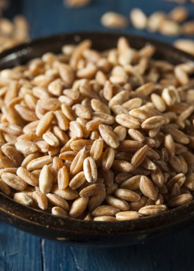 ماهو قمح الفارو وما فوائده الصحية