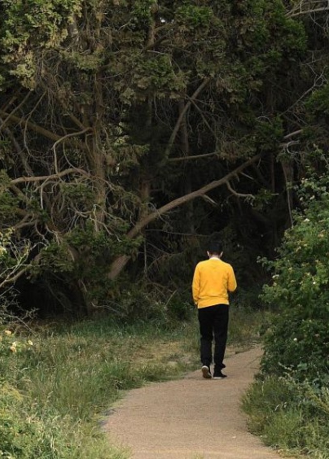 منتزه السودة في عسير.. أجواء معتدلة وطبيعة خلابة تأسر قلوب الزوار- المصدر روح السعودية